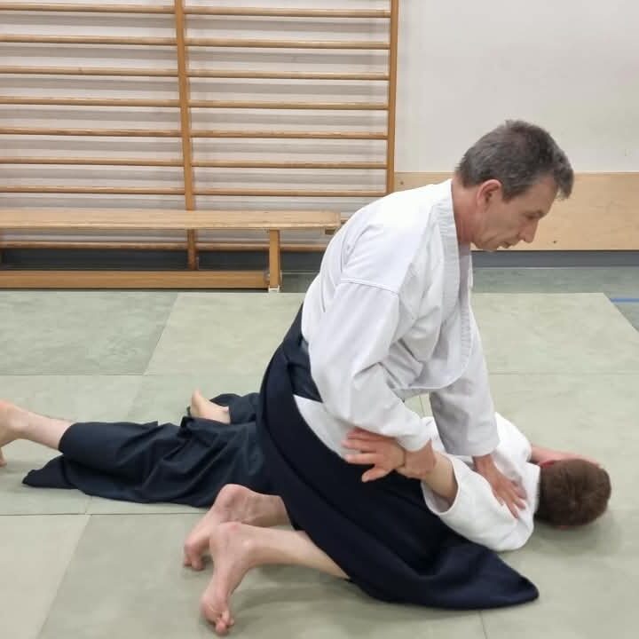 Zwei Aikidoka auf Matten im Dojo, während eine Person die andere festhält. Die Person, die den Hebel ansetzt, kniet rittlings über den Hüften ihres Partners, trägt eine weiße Gi-Jacke und einen dunklen Hakama und beugt sich nach vorn, wobei beide Hände den oberen Rücken und die Schulter des Partners kontrollieren. Die fixierte Person liegt bäuchlings mit einem ausgestreckten und einem gebeugten Arm sowie nach hinten gestreckten Beinen. Die Szene spielt sich in einem Innenraum mit Sprossenwänden und hellen Holzverkleidungen im Hintergrund ab.
